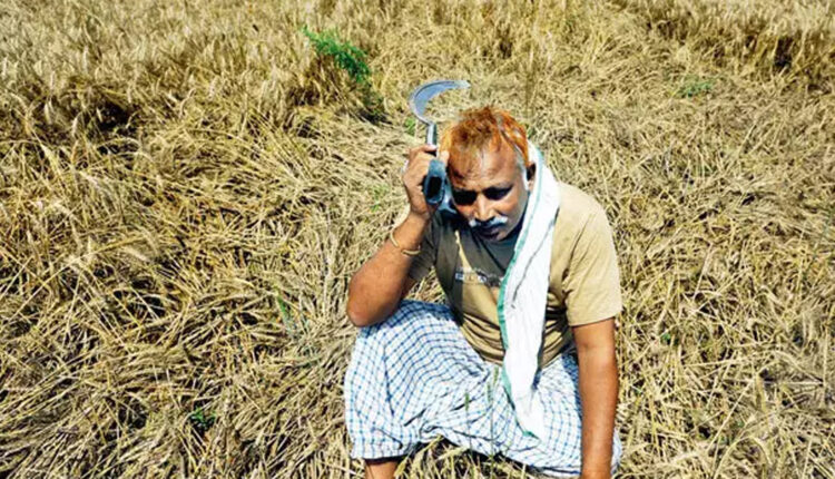 TeluguISM Farmer