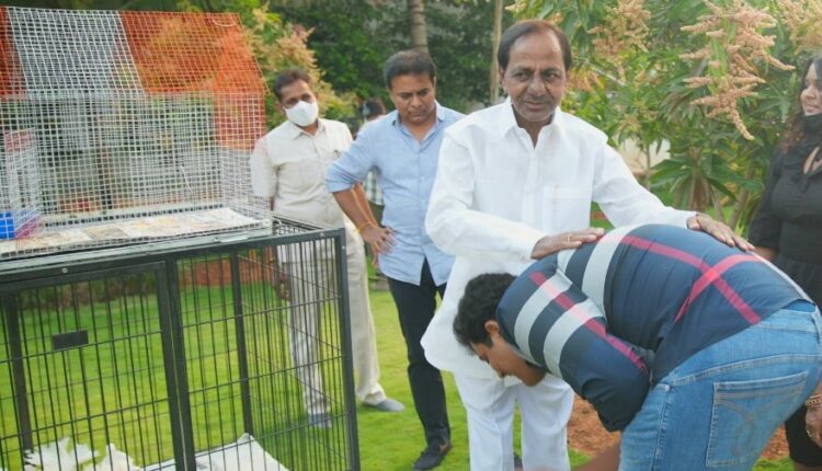 teluguism-Himanshu Rao KCR