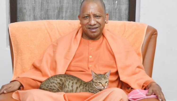 TeluguISM - CM Yogi With Cat