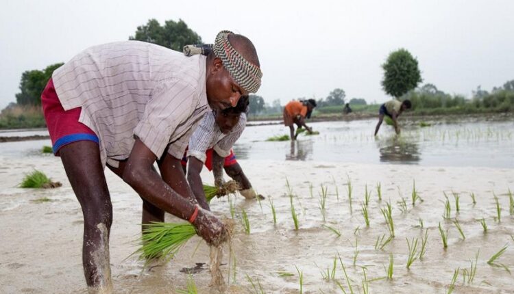 TeluguISM - TS Govt Farmers