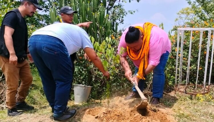 teluguism-Temjen Imna Along