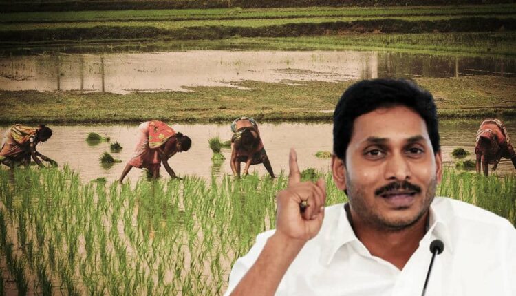 Teluguism-AP CM YS Jagan Review