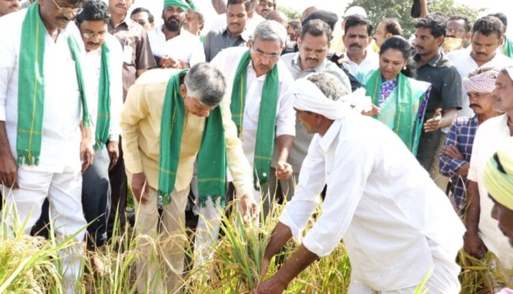 Teluguism-Chandra Babu Naidu