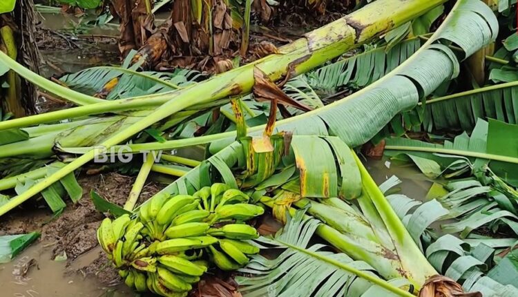 Teluguism-Heavy Rains AP