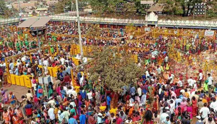 Teluguism - Medaram Jathara