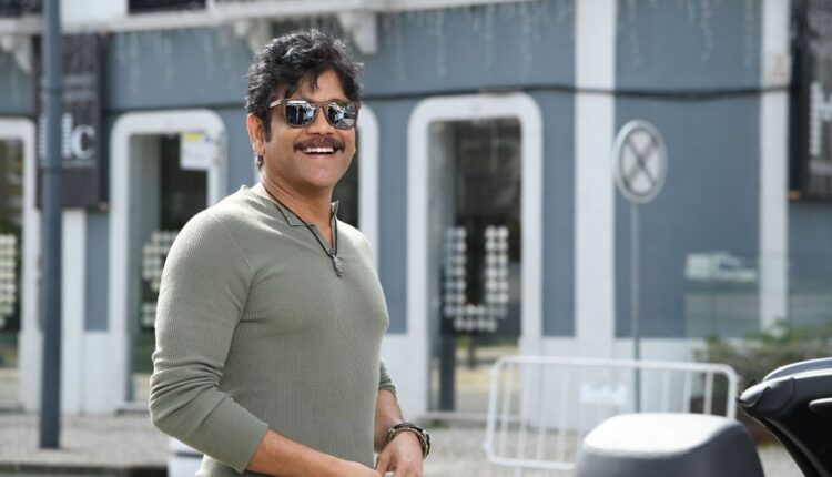 Teluguism - Actor Nagarjuna