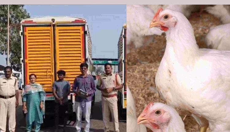 Teluguism - TG Govt-Bird Flu