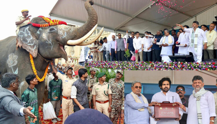 Teluguism - Kumki Elephants