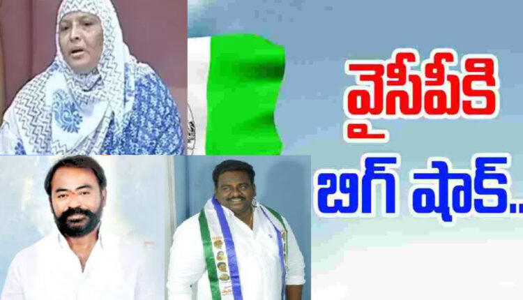Teluguism - YSRCP
