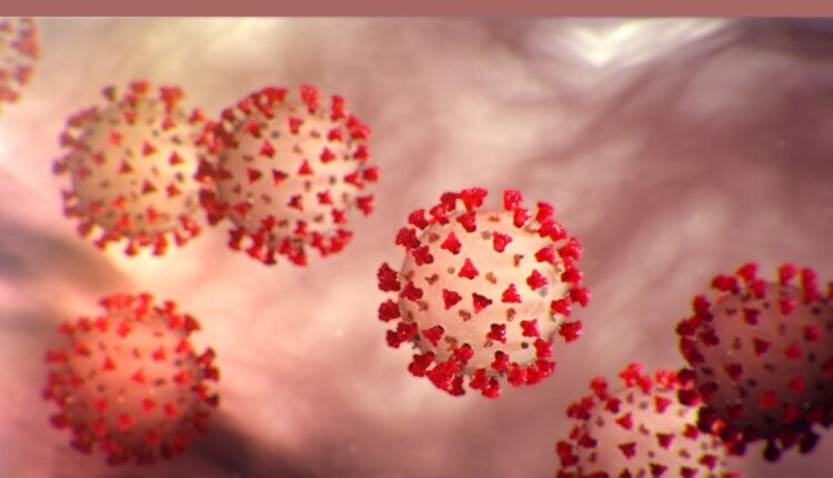 Teluguism - Covid 19 Cases