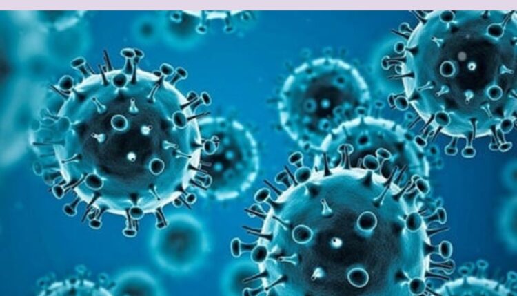 Teluguism - Covid 19 Cases