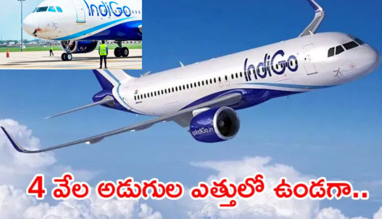 Teluguism - IndiGo Flight