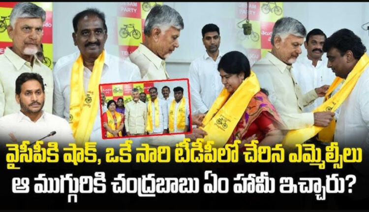 Teluguism - YSRCP MLC: