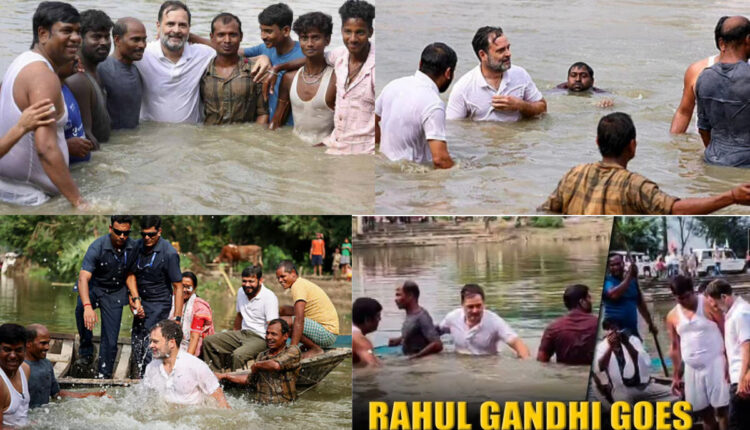 Teluguism - Rahul Gandhi