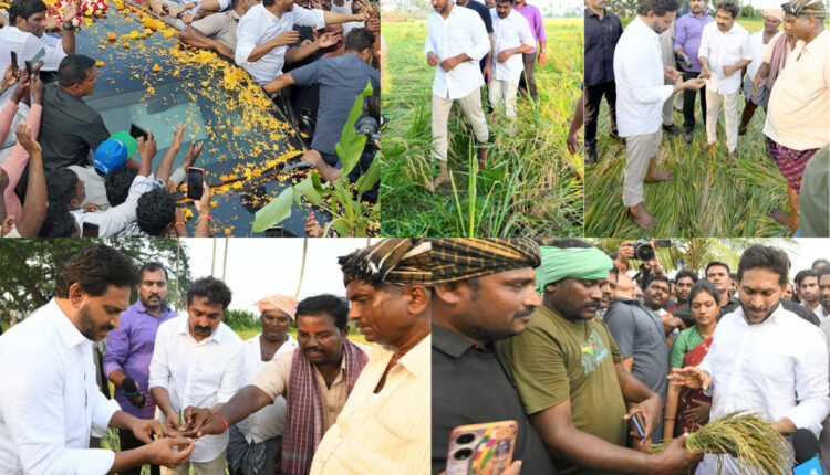 Teluguism - YS Jagan