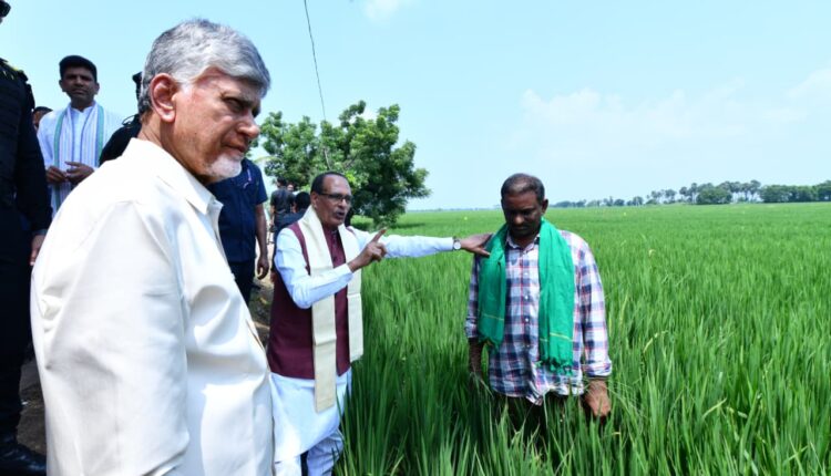 teluguism-ShivarajSinghChouhan